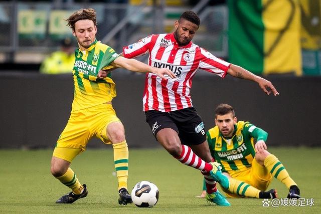 供了专业的 供了专业的