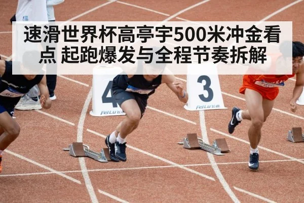 速滑世界杯高亭宇500米冲金看点 起跑爆发与全程节奏拆解